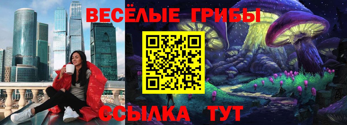 Псилоцибиновые грибы MAGIC MUSHROOMS  Галлюциногенные грибы мухоморы  Фрязино  что такое наркотик  Вход с VPN 